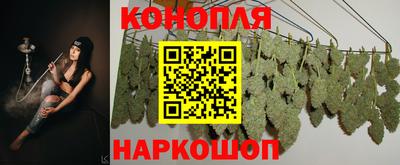 эйфоретик Бийск