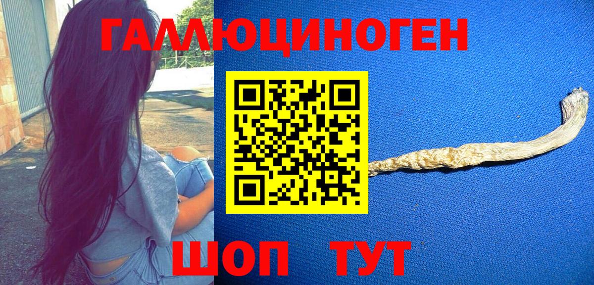 Псилоцибиновые грибы Cubensis Новокузнецк