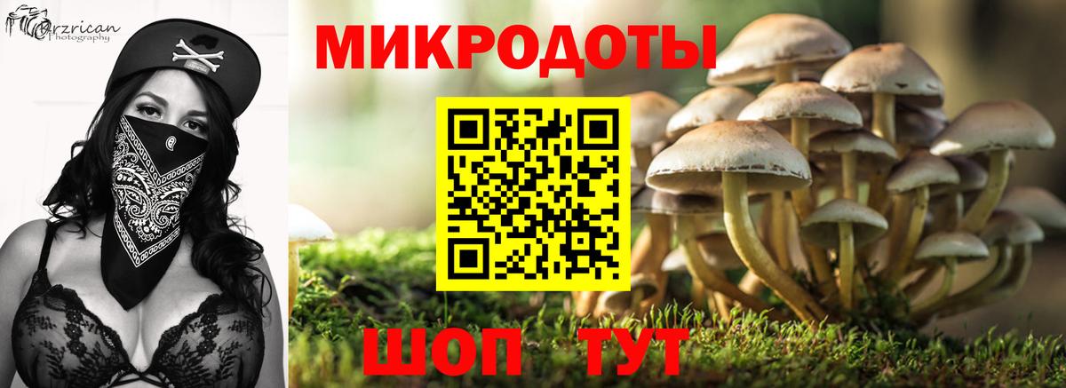 Галлюциногенные грибы Magic Shrooms Новокузнецк